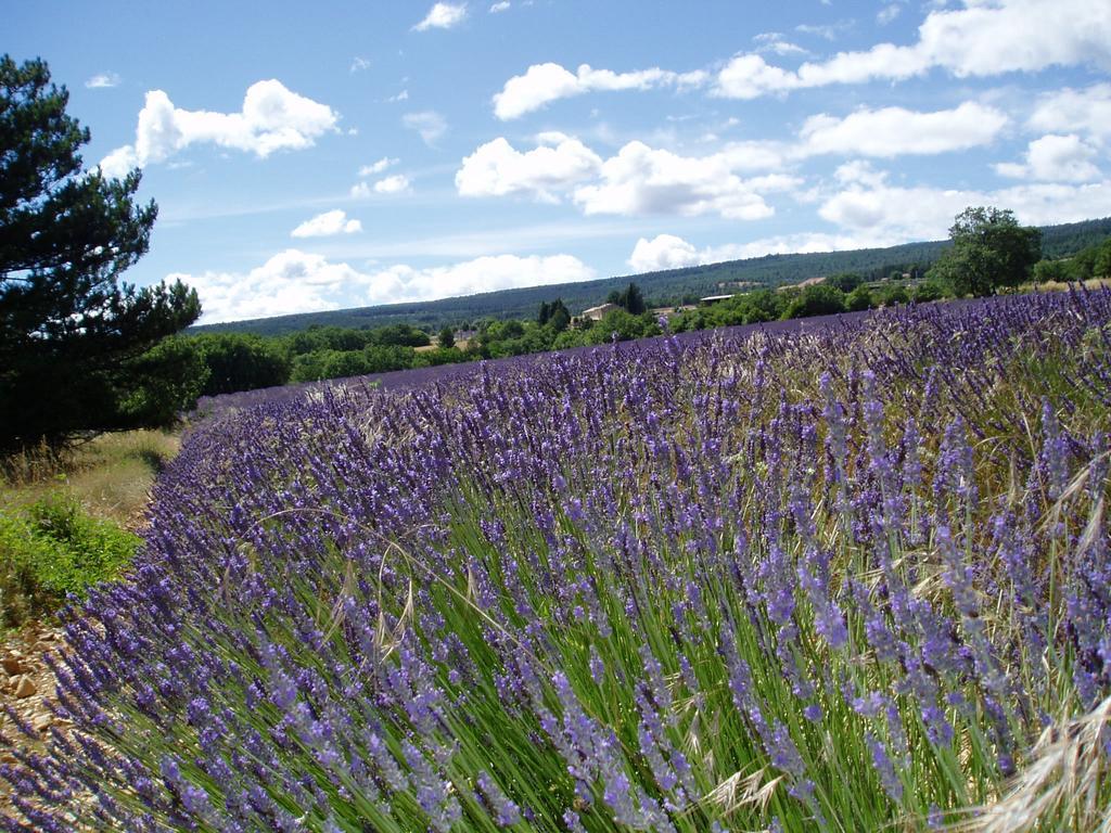 Bed and Breakfast Le Grangeon Cruis Esterno foto
