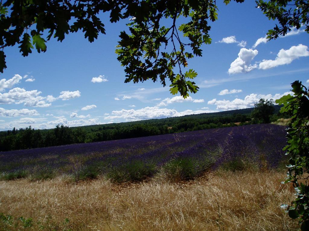 Bed and Breakfast Le Grangeon Cruis Esterno foto